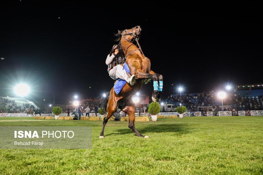 برپایی جشنواره اسب کرد در کرمانشاه