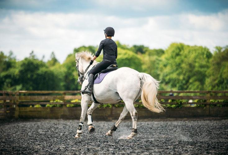 پایانی بر ۹ ماه حاشیه در سوارکاری کرمانشاه