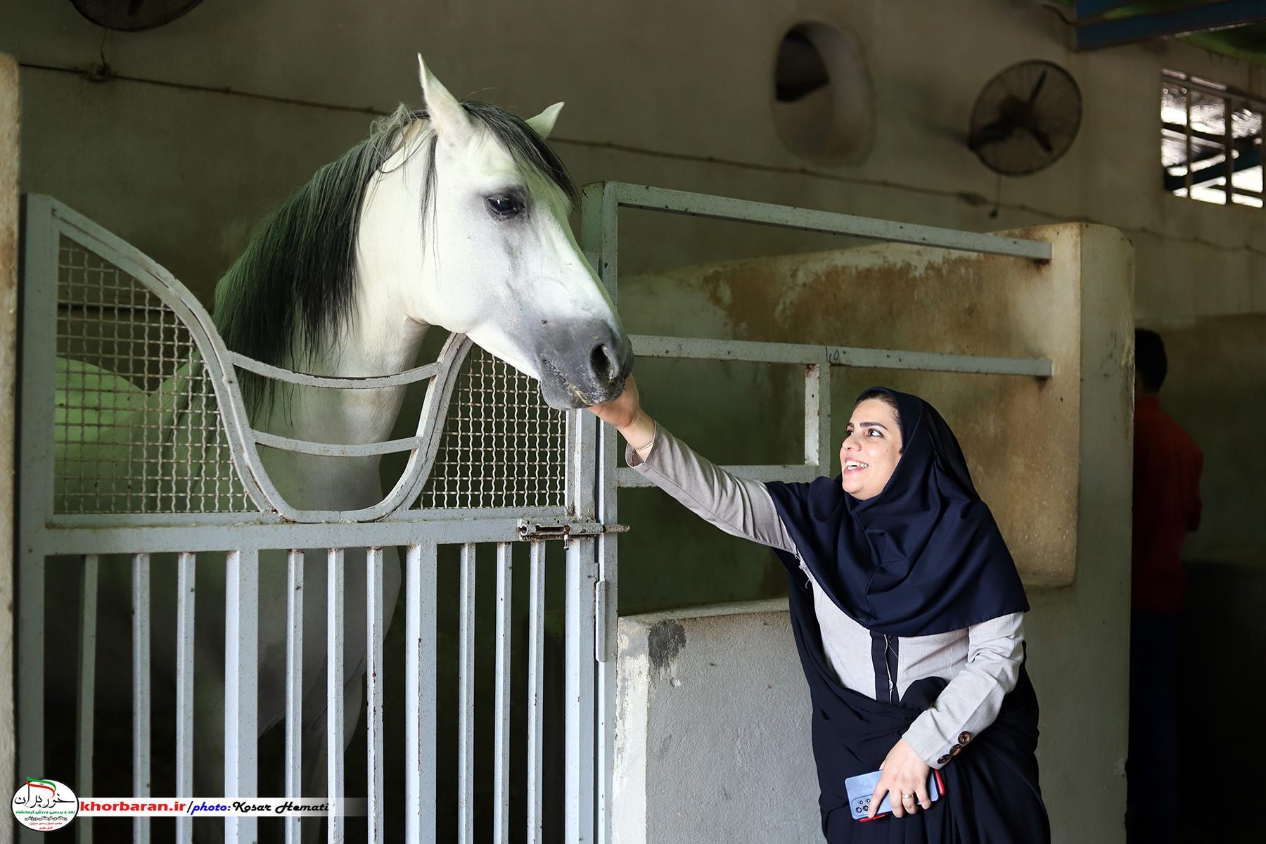اسب نشاط و ثروت می‌آورد