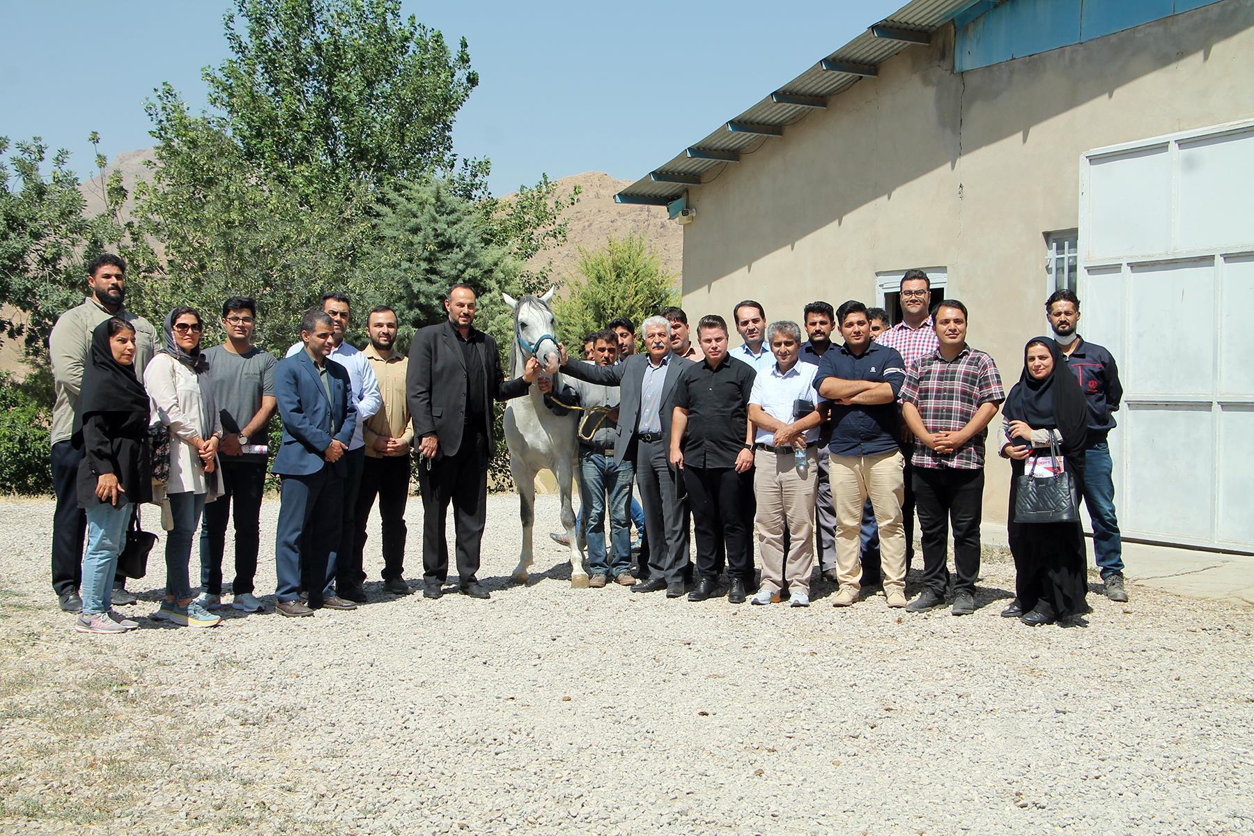  صنعت پرورش اسب هم نشاط می‌آورد و هم پول