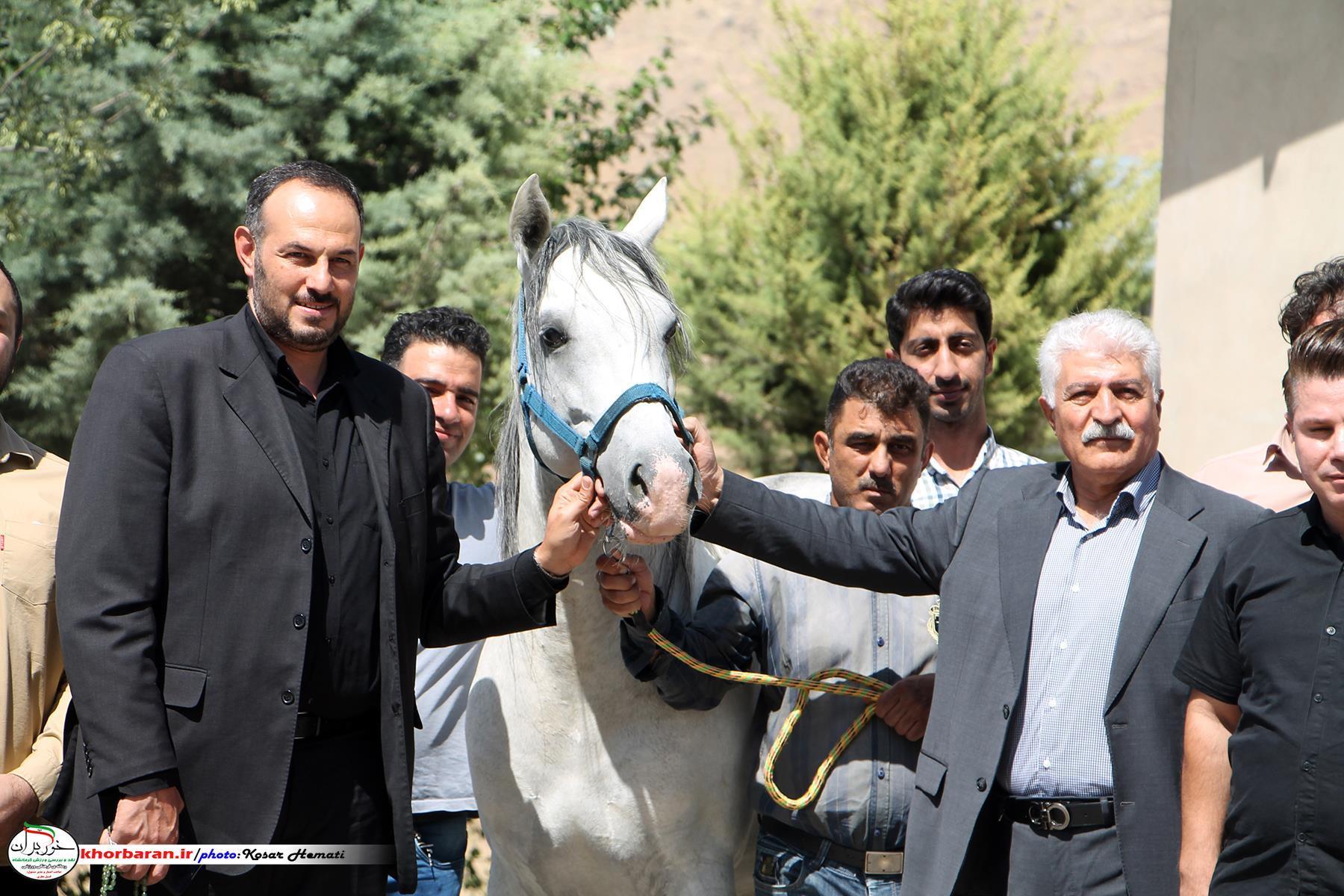 اسب نشاط و ثروت می‌آورد