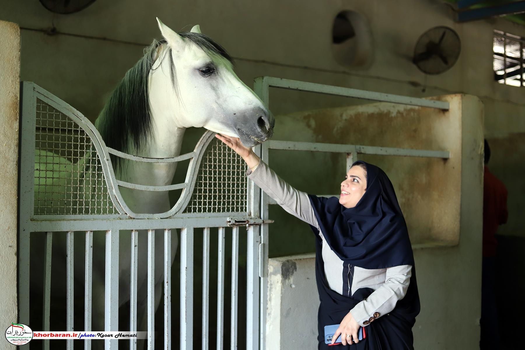  صنعت پرورش اسب هم نشاط می‌آورد و هم پول