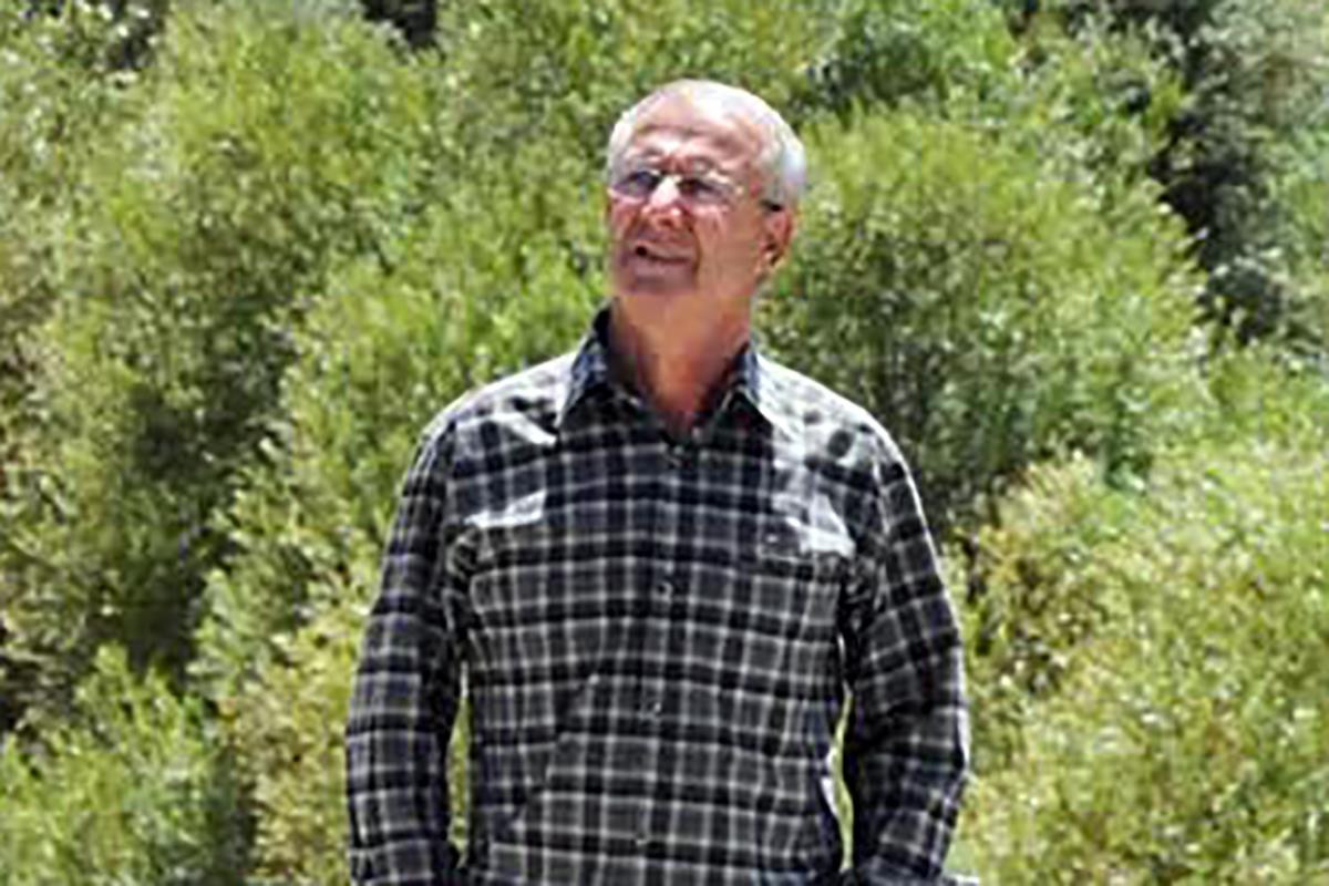 دو و میدانی سنقر؛ از ریشه‌های ماندگار تا چشم‌انداز قهرمانی کشور